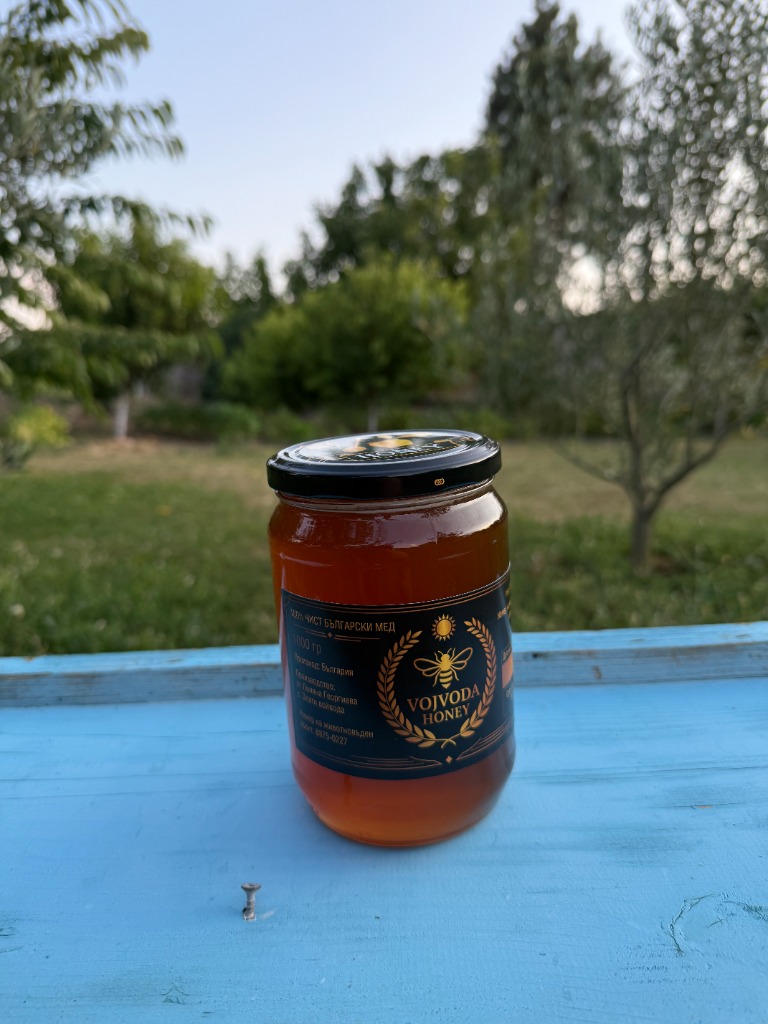 Снимка 2