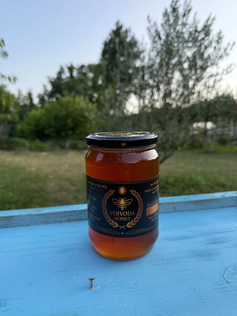 Снимка 4